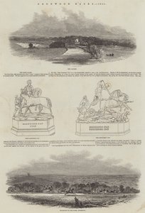 Corridas de Goodwood, 1845